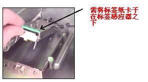 标签的安装（小蝌蚪黄色视频下载翻盖内部有指导图介绍）1